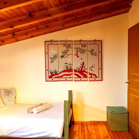Marianda's House - Mountain Views & Rustic Charm Дом отдыха