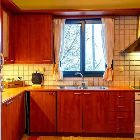 Marianda's House - Mountain Views & Rustic Charm Casa vacanze Tichio